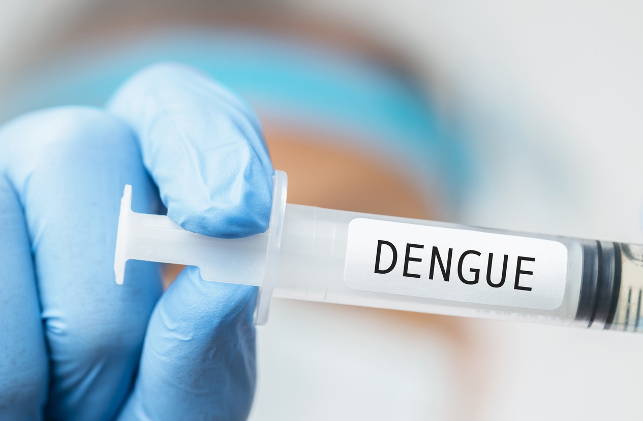 Como prevenir a dengue durante o ano todo: dicas e orientações