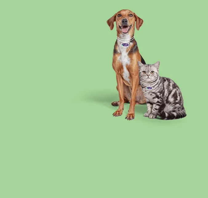 Unimed-BH e Pet love