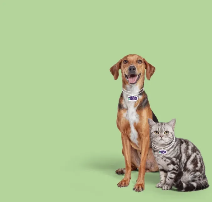 Unimed-BH & Petlove: Juntas para proteger toda a família.
