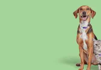 Unimed-BH e Pet love
