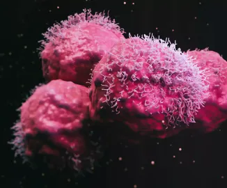 Tipos de câncer mais comuns e como se prevenir