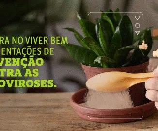 Dicas de prevenção contra dengue, zika e chikungunya