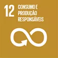 Consumo e produção responsáveis