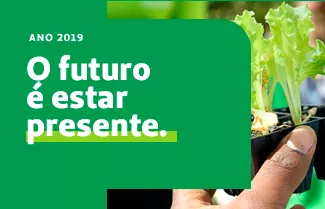 Relatório 2019