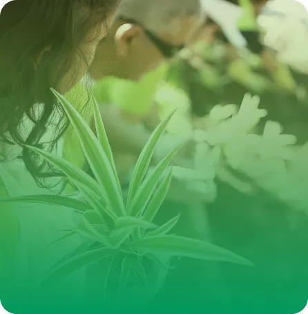 Assistas aos vídeos da campanha